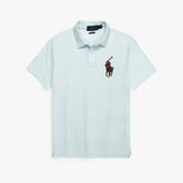 RLPH LURN PREMIUM LEATHER POLO MEN SKY