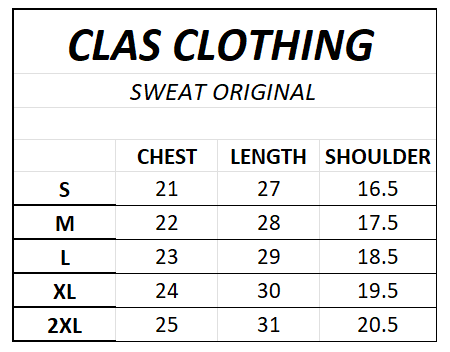 US A.S.S.N POLO SOLID CREW NECK OFFWHITE SWEATSHIRT